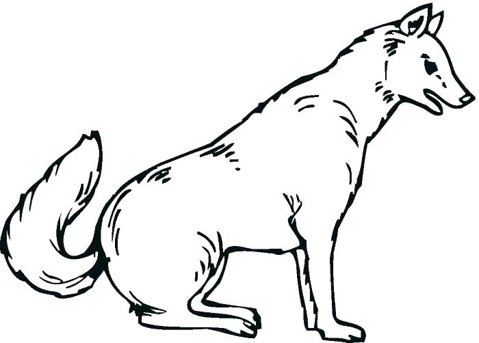 700x502 Grey Wolf Coloring Pages Wolf Coloring Pages Free Free Wolf