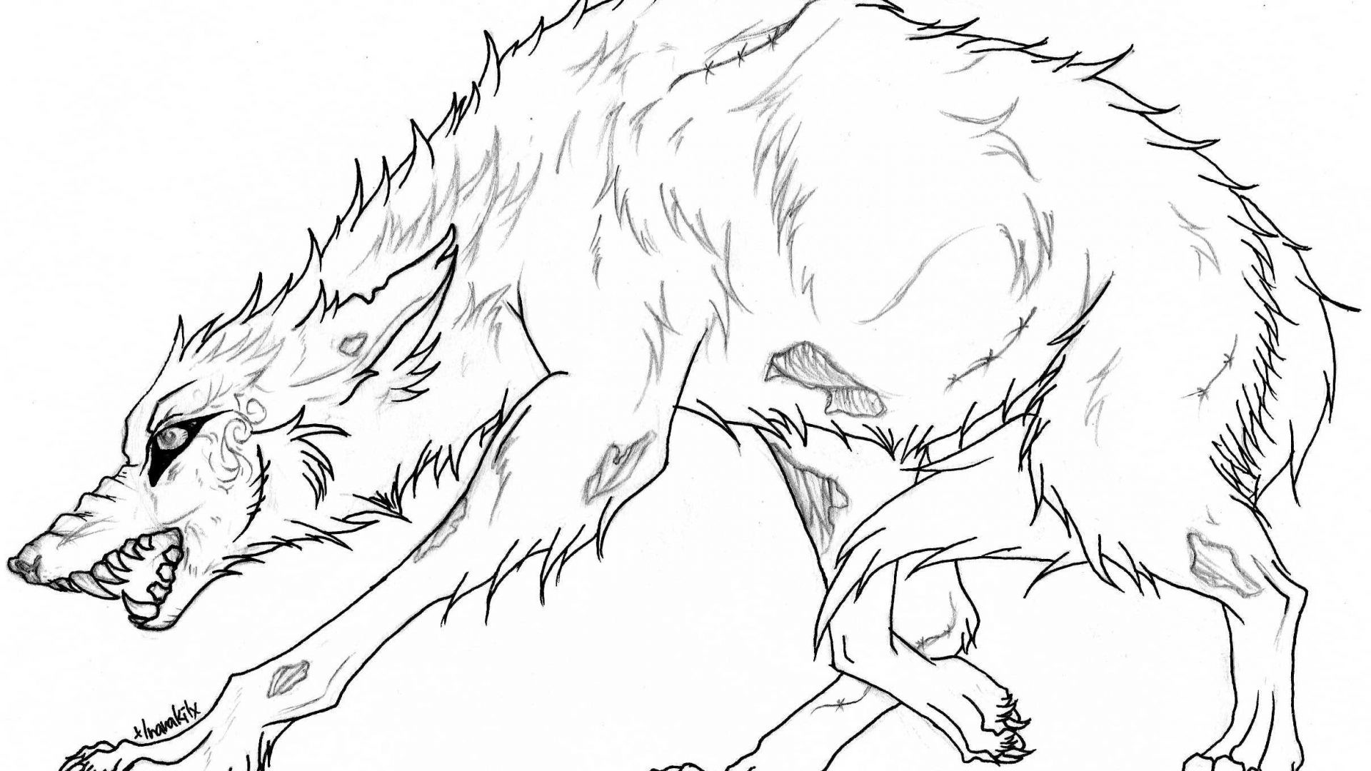 1920x1080 Ideas Of Wolf Fighting Coloring Pages For Wolf Fighting Coloring