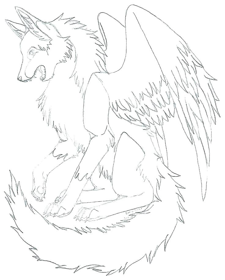 736x916 Grey Wolf Coloring Pages
