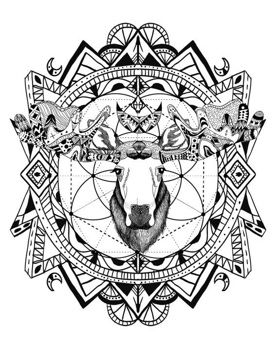 Wild And Free Spirit Animals 570x738 Wild And Free Spirit Animals