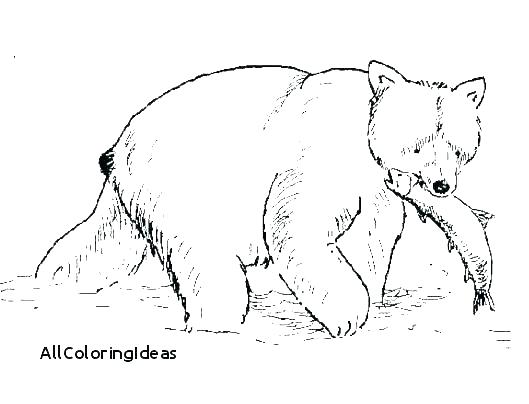 529x404 Grizzly Bear Coloring Page Bear Bear Coloring Page Free Printable