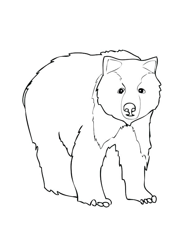 612x792 Grizzly Bear Coloring Pages Grizzly Bear Coloring Page Grizzly
