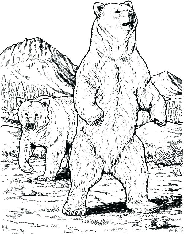600x760 Little Bear Coloring Pages Little Bear Coloring Pages Coloring
