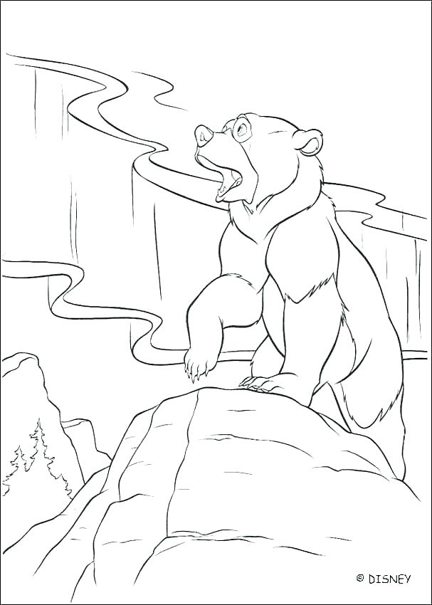 607x850 Coloring Page Bear Coloring Pages Bear Pin Grizzly Bear Coloring