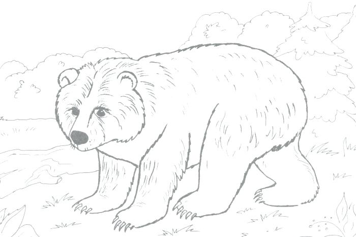 Grizzly Coloring Pages