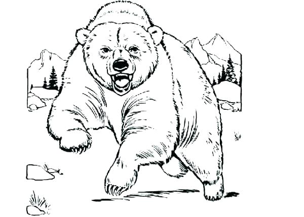 600x429 Grizzly Bear Coloring Page Bear Bear Coloring Page Free Printable