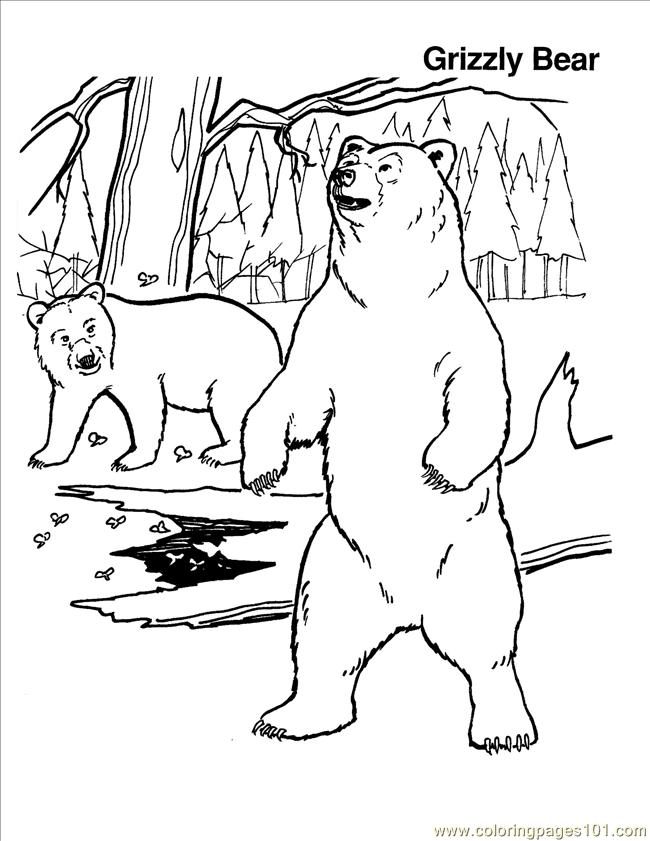 650x841 Grizzly Bear Coloring Page Printable