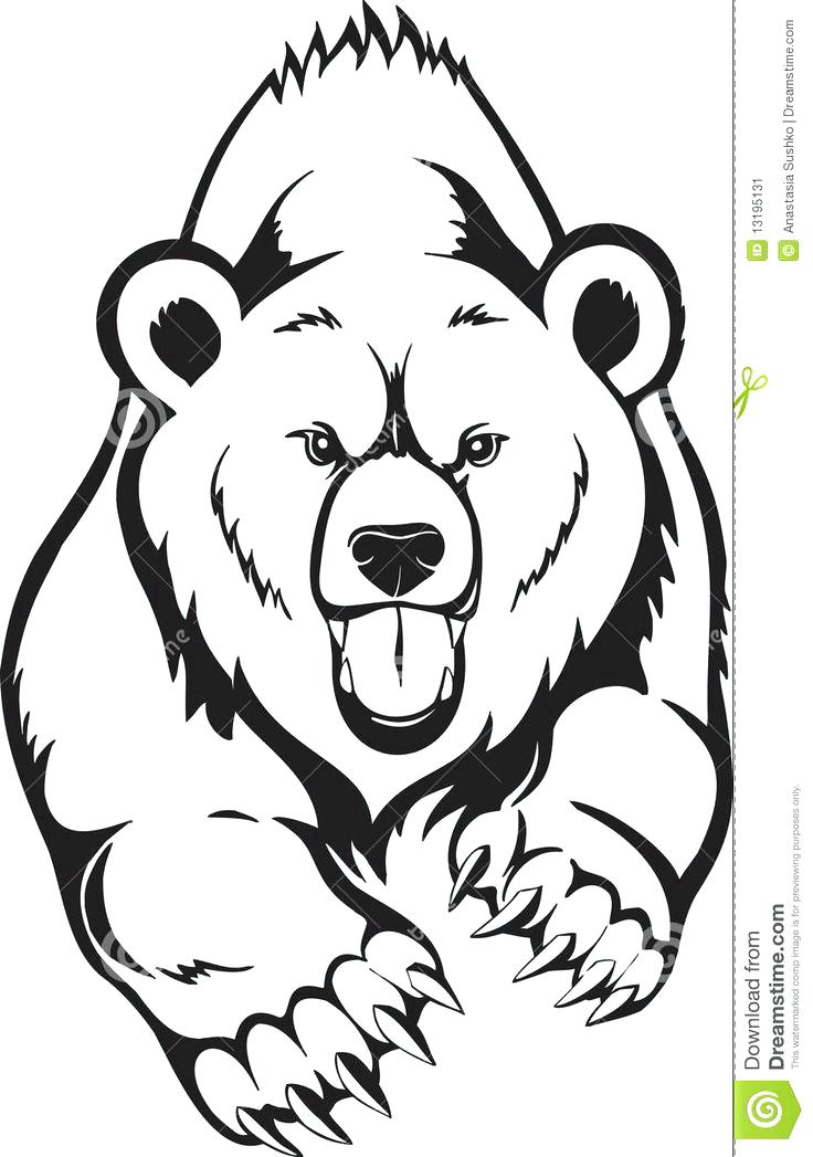 736x1047 Grizzly Bear Pictures To Color Animals For Grizzly Bear Drawing