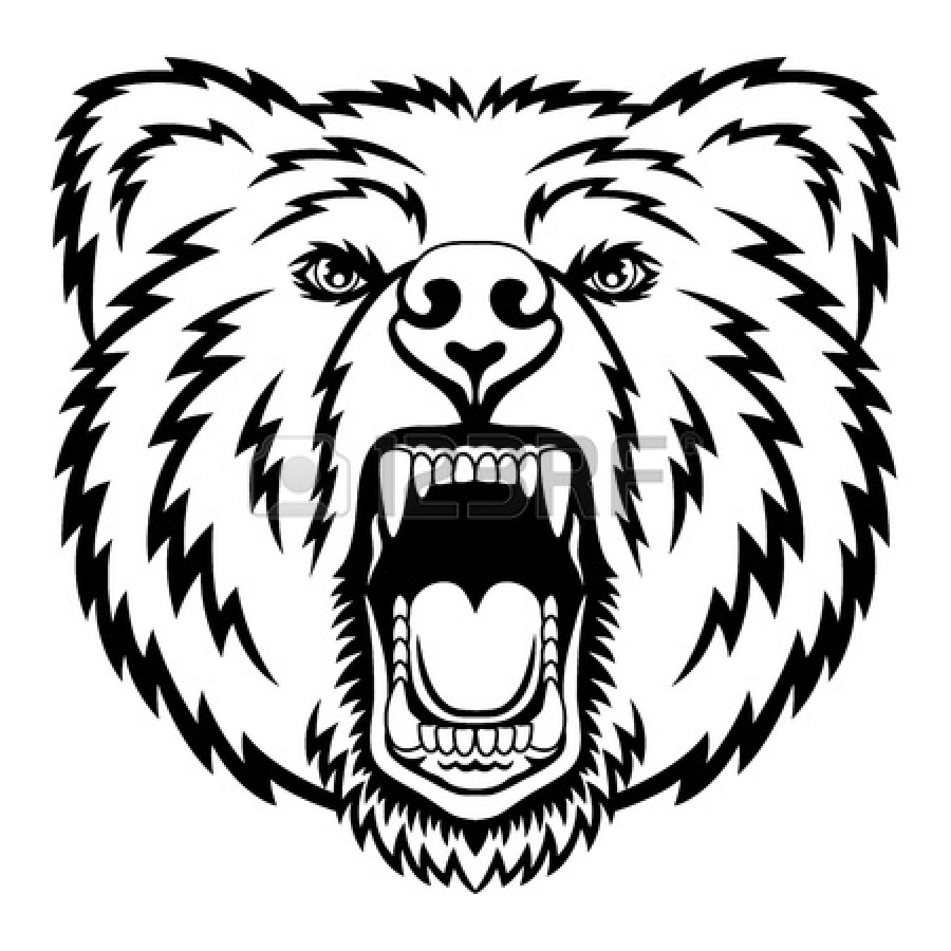 1350x1350 Bear Face Coloring Page Educational Coloring Pages