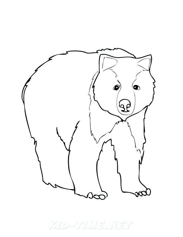 612x792 Grizzly Bears Coloring Pages Free Coloring Pages Free Printable