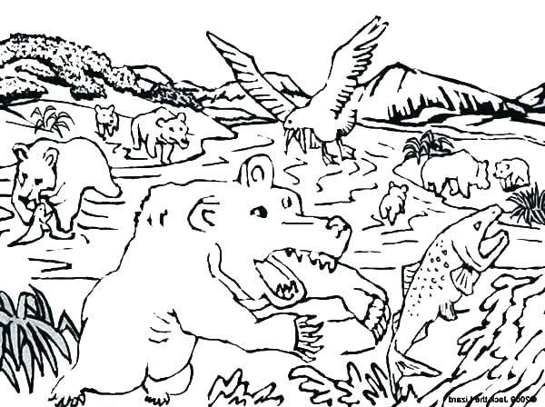 600x448 Salmon Coloring Pages Salmon Coloring Page Salmon Coloring Pages