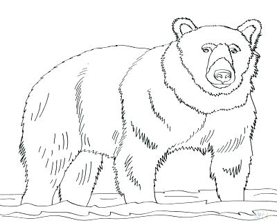 400x322 Coloring Page Of A Bear Grizzly Bear Coloring Pages In Addition
