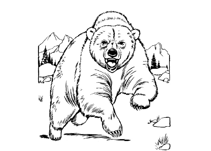 700x500 Grizzly Bear Coloring Pages Free Coloring Pages