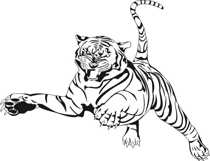 Store Coloring Page Tiger Coloring Book Plus Tiger Coloring Page 728x558 Store Coloring Page Tiger Coloring Book Plus Tiger Coloring Page