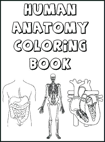 Skeletal System Coloring Pages Muscle Coloring Pages Anatomy 440x594 Skeletal System Coloring Pages Muscle Coloring Pages Anatomy