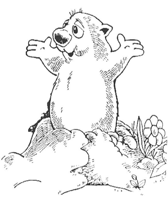 Groundhog Coloring Page