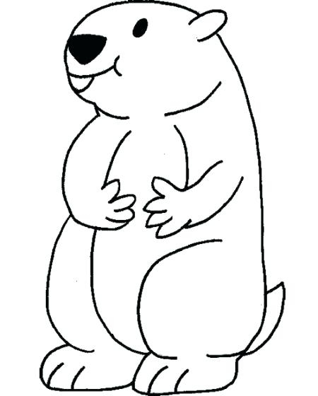 Groundhog Coloring Page Groundhog Coloring Pages As Well As 450x560 Groundhog Coloring Page Groundhog Coloring Pages As Well As