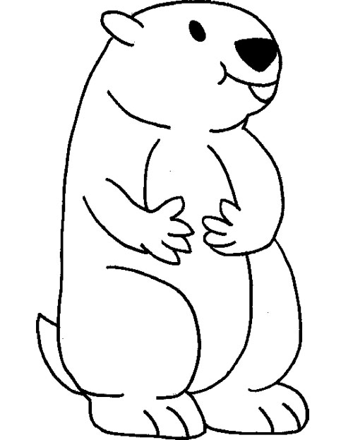 Groundhog Coloring Pages 500x623 Groundhog Coloring Pages