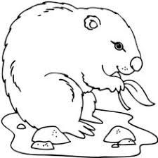Mejores 10 De Groundhog Day Coloring Page En 225x224 Mejores 10 De Groundhog Day Coloring Page En