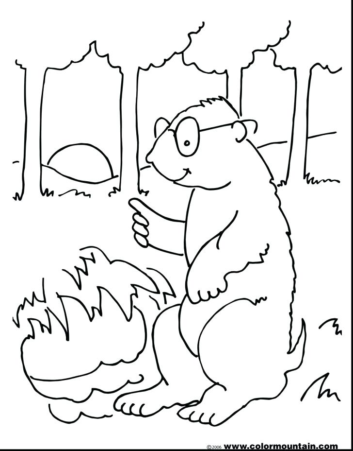 Groundhog Coloring Page 728x928 Groundhog Coloring Page