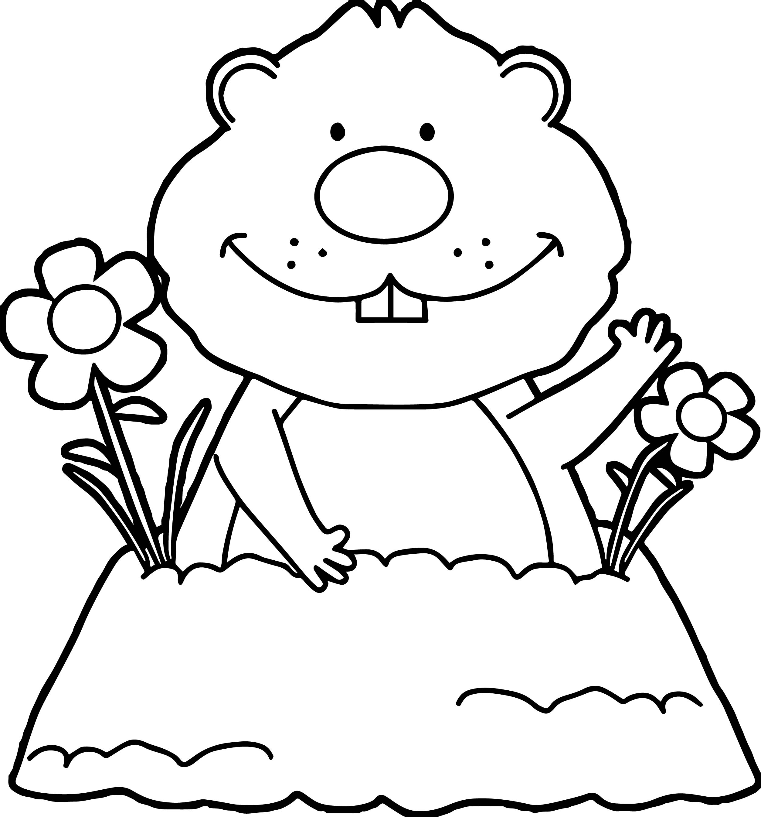 Groundhog Coloring Robertomattnico Groundhog Coloring Page 2507x2690 Groundhog Coloring Robertomattnico Groundhog Coloring Page