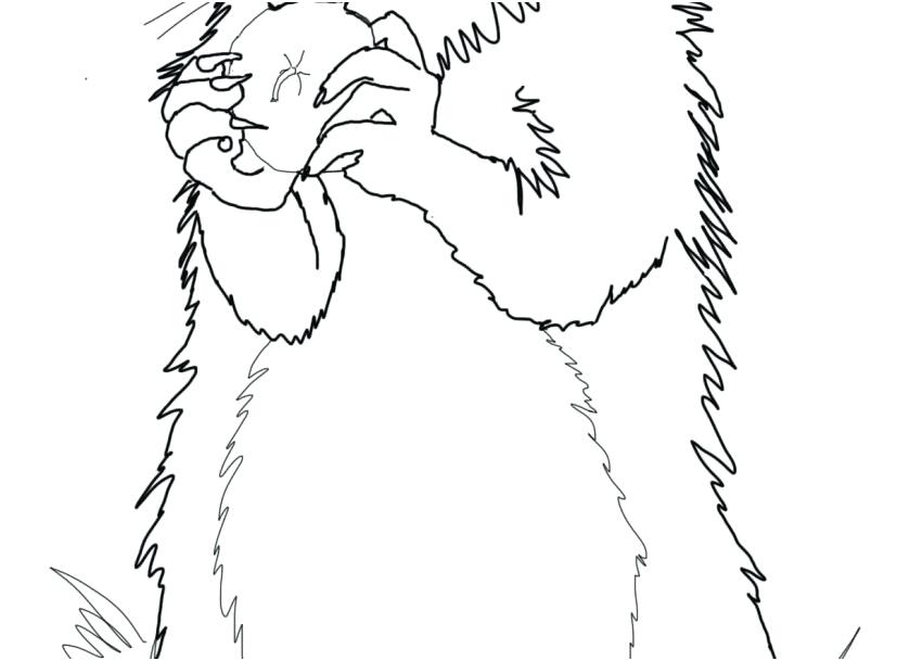 Groundhog Coloring Page Preschool Day Pages Unique Groundhogs 827x609 Groundhog Coloring Page Preschool Day Pages Unique Groundhogs