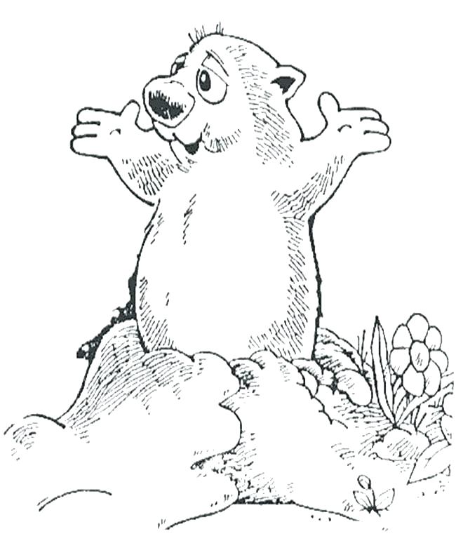Groundhog Coloring Pages Awesome Groundhog Day Coloring Pages 650x764 Groundhog Coloring Pages Awesome Groundhog Day Coloring Pages
