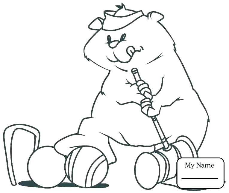 Groundhog Coloring Pages Count The Groundhogs Coloring Page 765x647 Groundhog Coloring Pages Count The Groundhogs Coloring Page