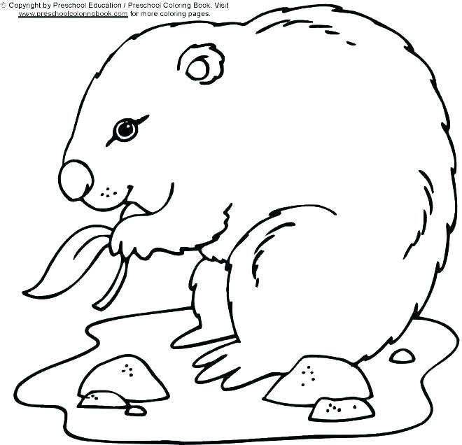 Groundhog Day Coloring Pages Printable 660x636 Groundhog Day Coloring Pages Printable