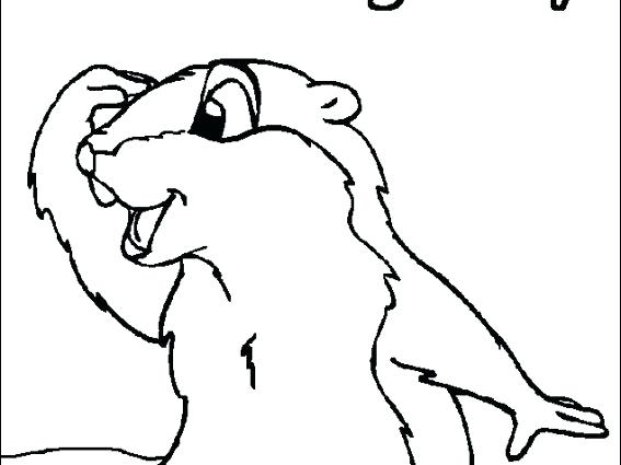 Groundhog Coloring Sheet Groundhog Day Coloring Pages Activities 567x425 Groundhog Coloring Sheet Groundhog Day Coloring Pages Activities