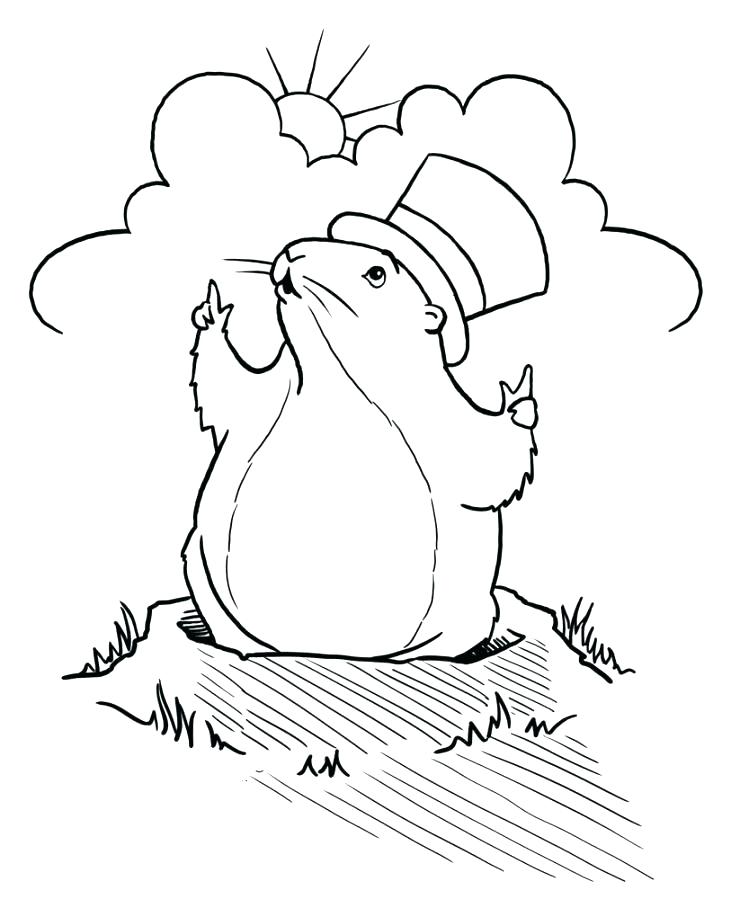 731x899 Groundhog Coloring Pages Preschool Groundhog Coloring Page Holding