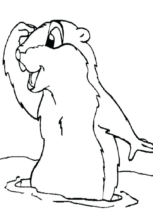 500x712 Groundhog Coloring Groundhog Day Coloring Pages Educational Fun