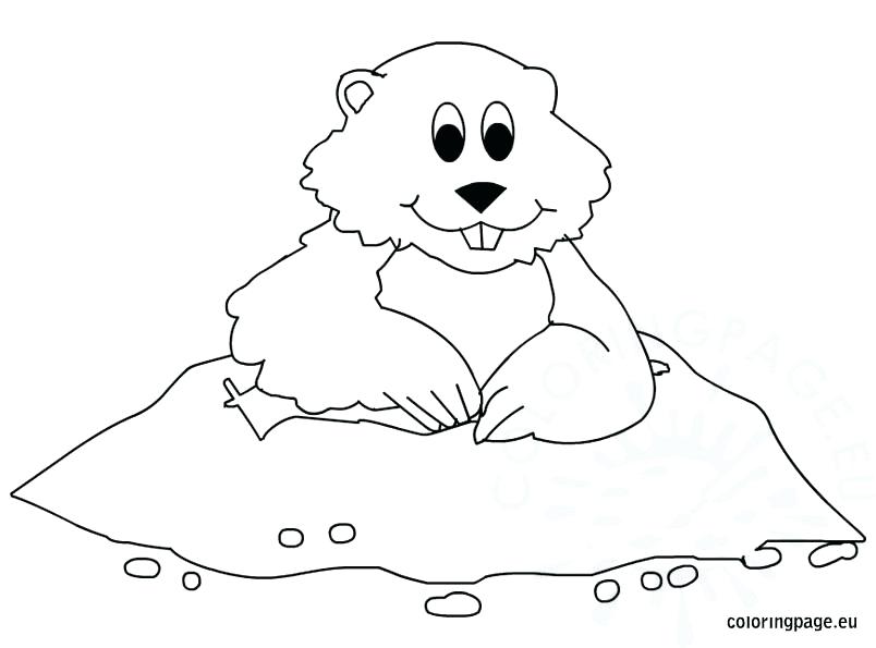 804x595 Groundhog Coloring Pages Free Groundhog Day Coloring Page