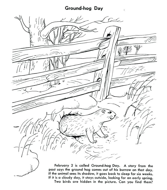 670x762 Groundhog Day Coloring Pages Free Printable Groundhog Coloring