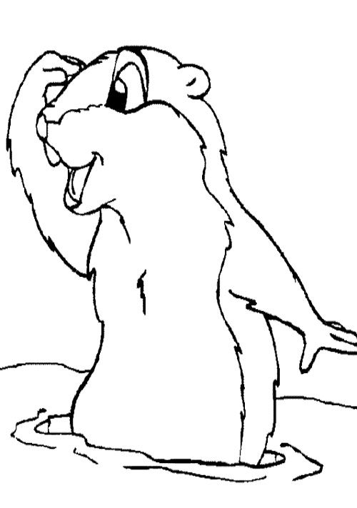 500x712 Groundhog Day Scratching Head Coloring Page Groundhog Day