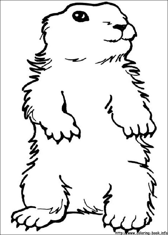 567x794 Groundhog Day Coloring Pages On Coloring