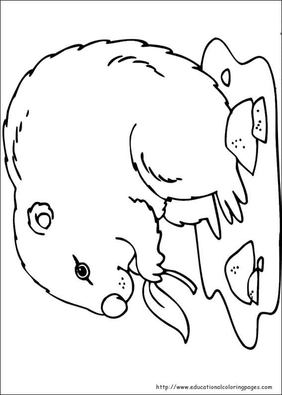 Groundhog Day Coloring Pages 567x794 Groundhog Day Coloring Pages