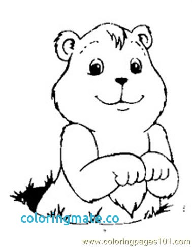 36 Groundhog Day Coloring Pages 378x486 36 Groundhog Day Coloring Pages