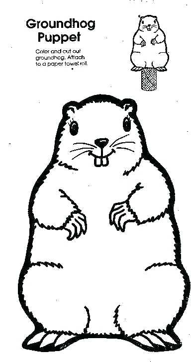 Groundhog Printable Coloring Pages Groundhog Groundhog Day 384x728 Groundhog Printable Coloring Pages Groundhog Groundhog Day