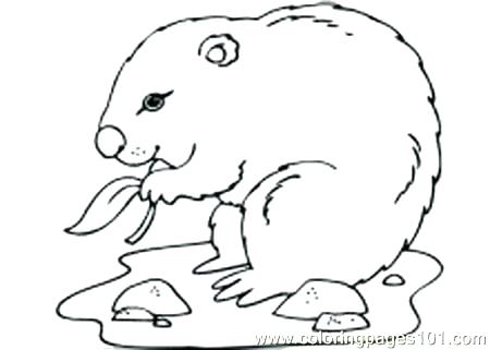 Groundhog Printables Coloring Pages And Activities Ground Hog Day 450x321 Groundhog Printables Coloring Pages And Activities Ground Hog Day