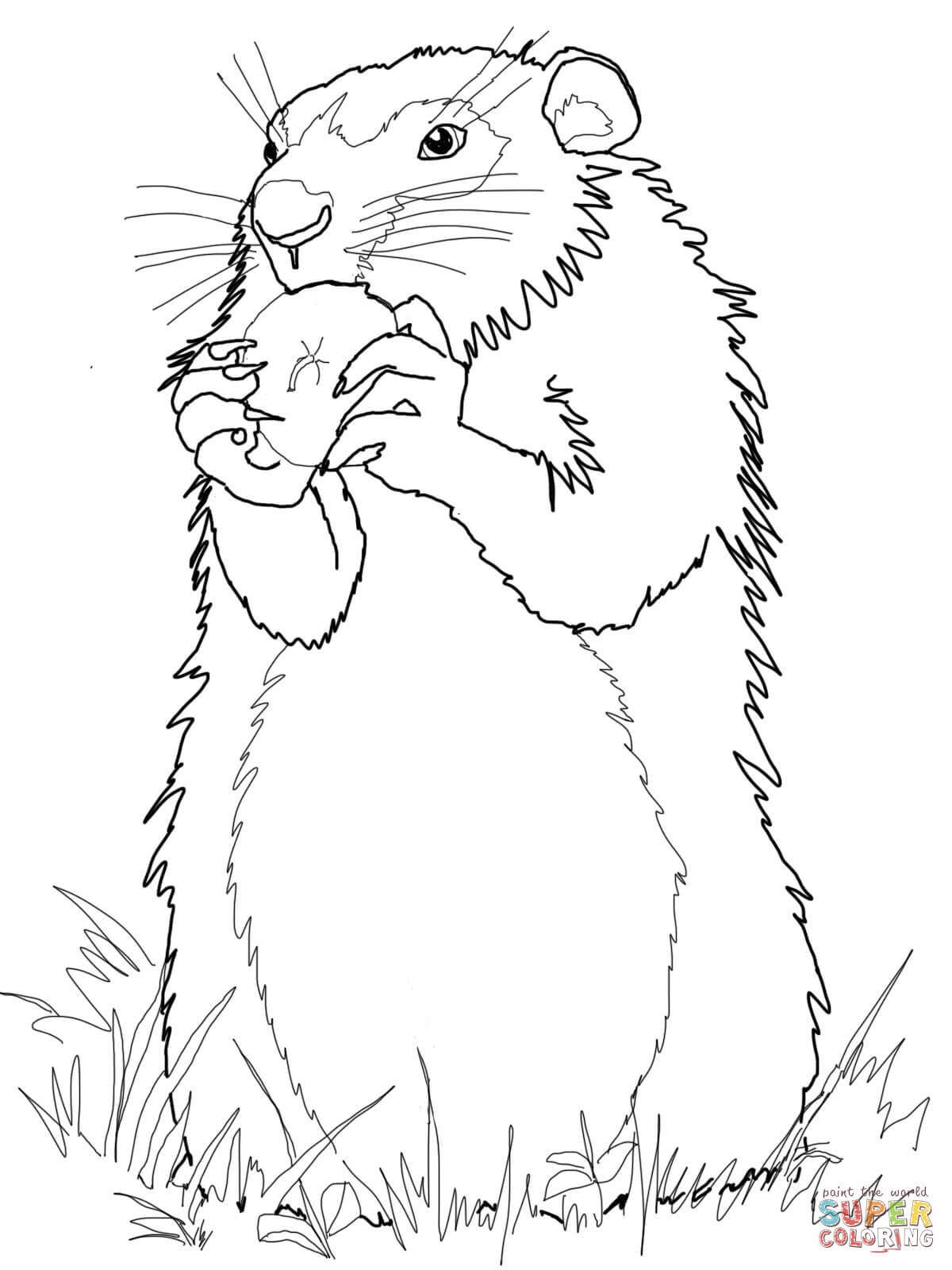 Groundhogs Coloring Pages Free Coloring Pages Groundhog Day 1200x1600 Groundhogs Coloring Pages Free Coloring Pages Groundhog Day