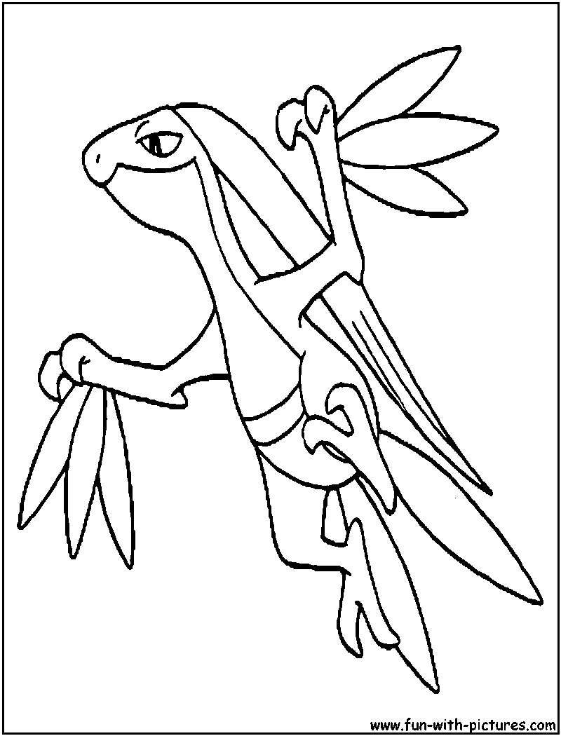 Grovyle Coloring Page 800x1050 Grovyle Coloring Page