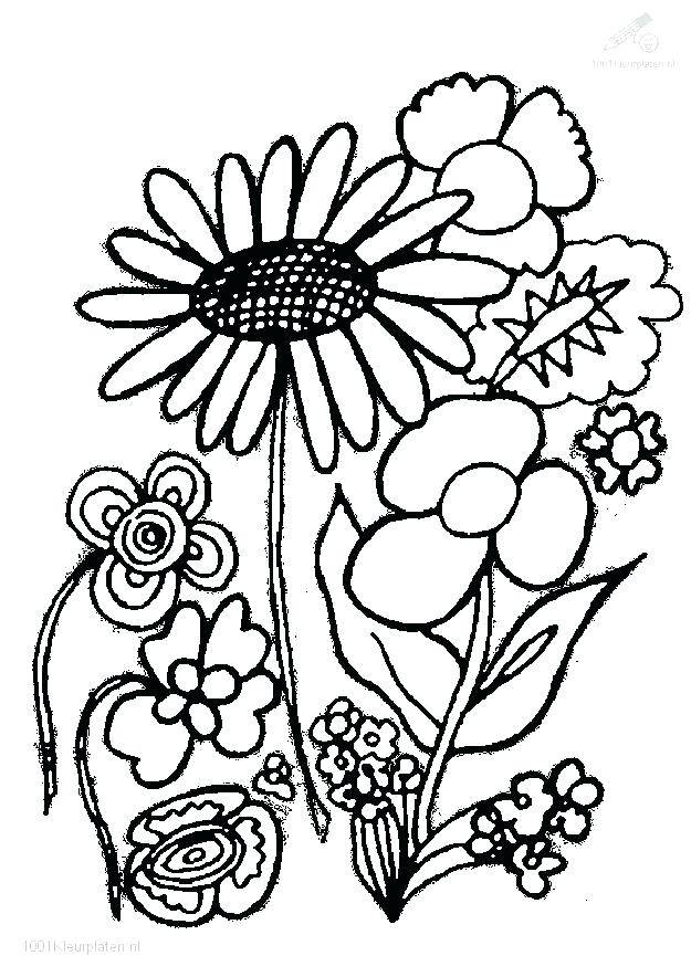 625x884 Coloring Pages Of Plants Elegant Plant Coloring Pages On Gallery