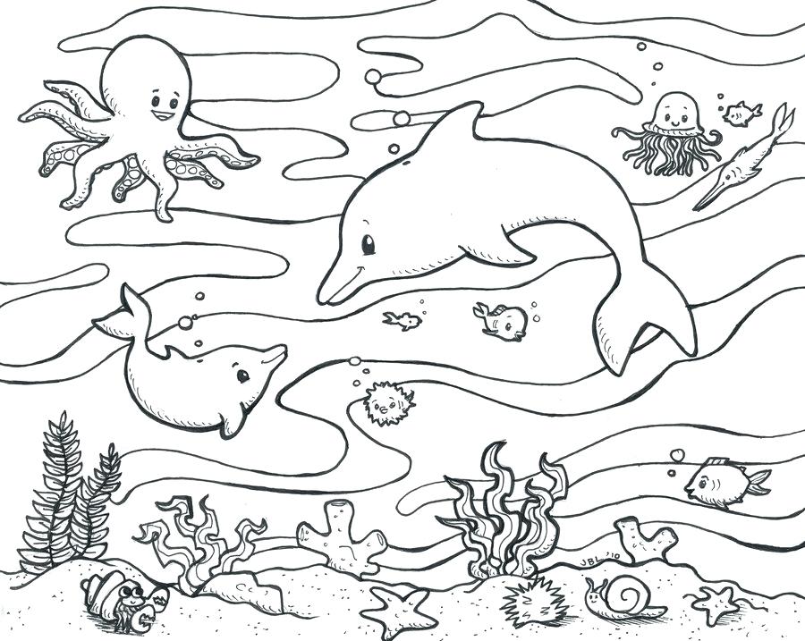 Marine Life Coloring Pages Ocean Life Coloring Pages Printable 900x717 Marine Life Coloring Pages Ocean Life Coloring Pages Printable