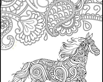 Printable Coloring Page Adult Coloring Pages Horse 340x270 Printable Coloring Page Adult Coloring Pages Horse