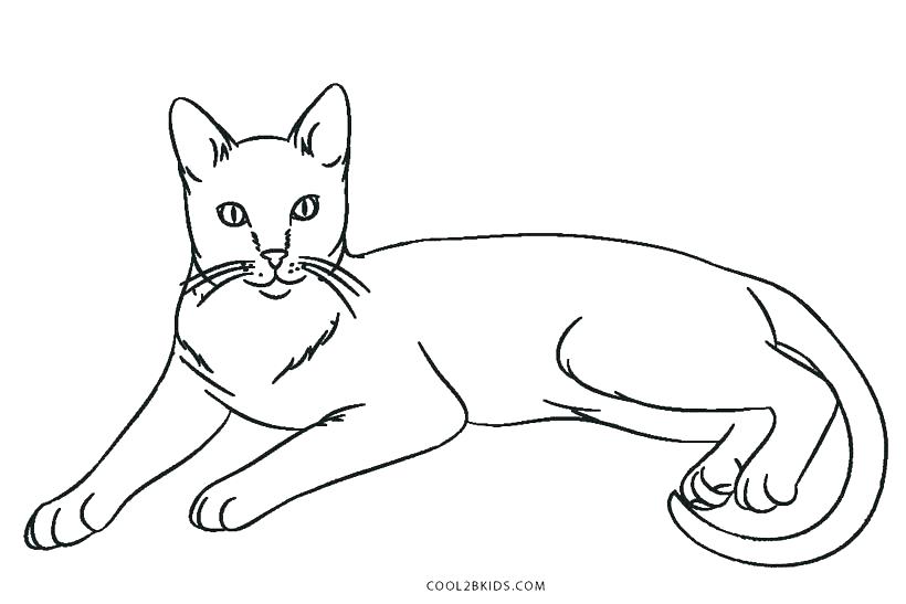 Grumpy Cat Coloring Pages Adorable Grumpy Cat Coloring Pages 820x547 Grumpy Cat Coloring Pages Adorable Grumpy Cat Coloring Pages