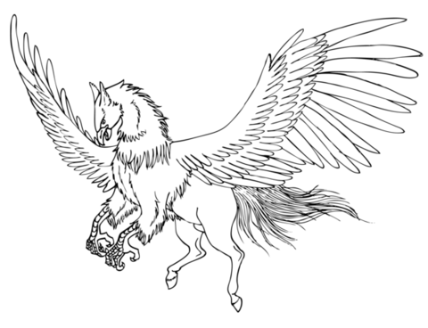 Cute Gryphon Coloring Page 480x368 Cute Gryphon Coloring Page