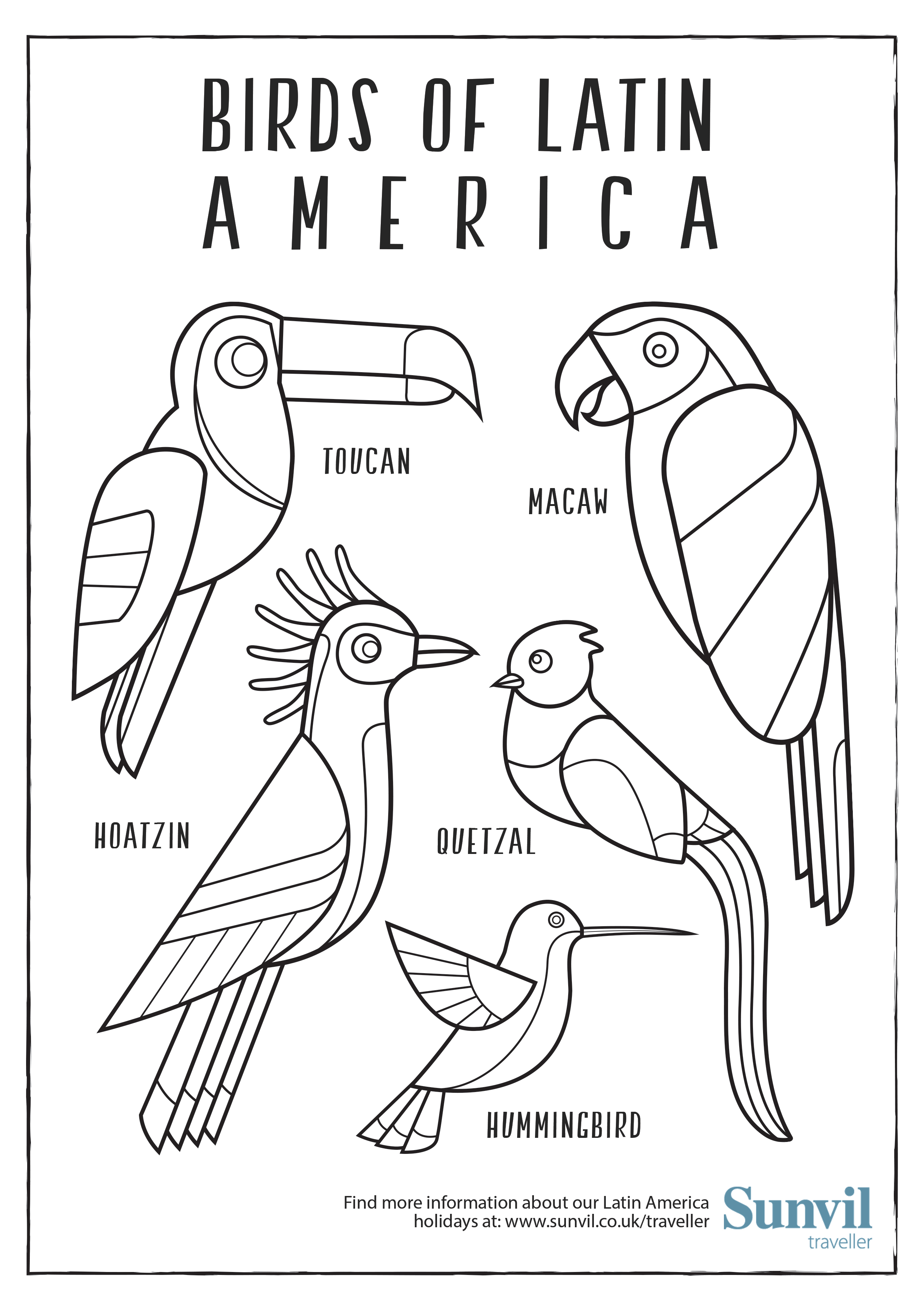 Birds Of Latin America Colouring Page 2480x3508 Birds Of Latin America Colouring Page