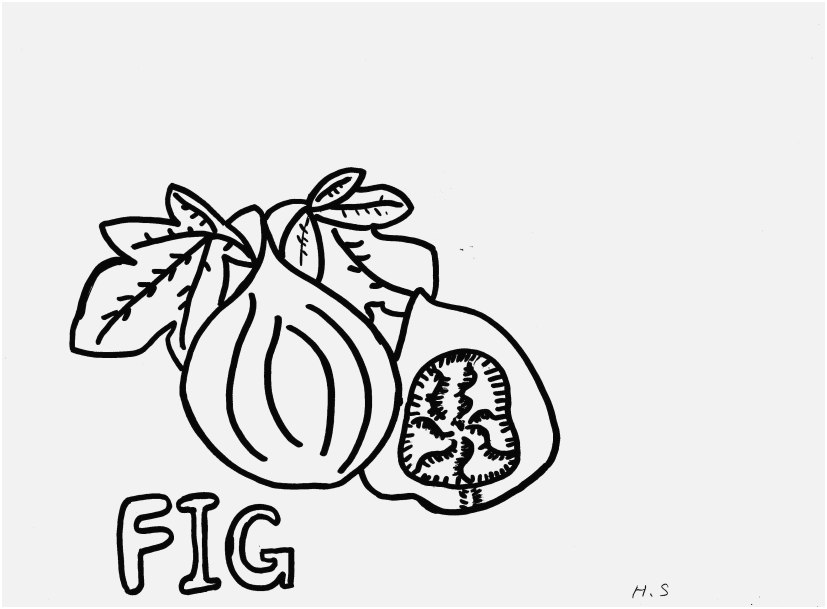 827x609 A Good Collection Coloring Pages Figs The Best