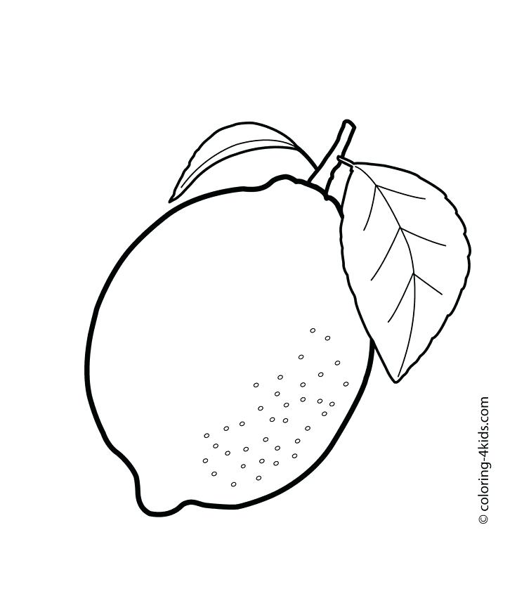 736x865 Fruit Color Pages Lemon Coloring Pages Fruit Color Pages To Print